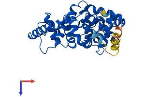 AlphaFold protein structure predicition of Mouse Recombinant Tbc1d7 Protein, UniprotID Q9D0K0