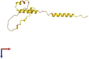 Small Proline-Rich Protein 2J, Pseudogene (SPRR2J-PS) (AA 1-109) protein (His tag)