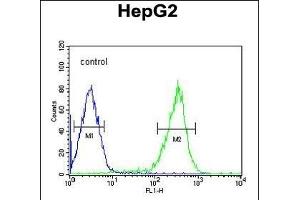 PCBD1 Antibody (Center) (ABIN653056 and ABIN2842659) flow cytometric analysis of HepG2 cells (right histogram) compared to a negative control cell (left histogram). (PCBD1 anticorps  (AA 11-37))