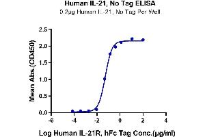 Immobilized Human IL-21 at 2 μg/mL (100 μL/Well) on the plate.