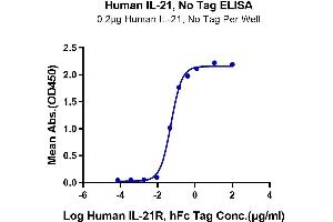 Immobilized Human IL-21 at 2 μg/mL (100 μL/Well) on the plate. (IL-21 Protéine)