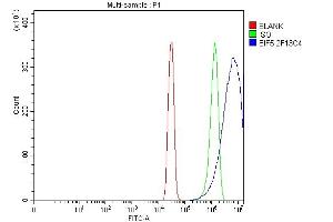 Flow Cytometry analysis of SiHa cells using anti-EIF5 antibody (ABIN7599721). (EIF5 anticorps  (AA 11-423))