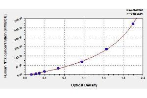 Typical standard curve (NTX-I Kit ELISA)