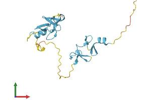 AlphaFold protein structure predicition of Mouse Recombinant Csrp2 Protein, UniprotID P97314