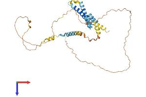 AlphaFold protein structure predicition of Human Recombinant NDFIP2 Protein, UniprotID Q9NV92