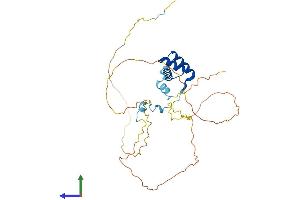 AlphaFold protein structure predicition of Mouse Recombinant En2 Protein, UniprotID P09066