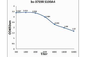 Formalin-fixed and paraffin embedded mouse small intestine labeled with Rabbit Anti S100A4 Polyclonal Antibody, Unconjugated (ABIN703706) at 1:200 followed by conjugation to the secondary antibody and DAB staining (s100a4 anticorps  (AA 15-101))