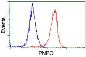 Flow cytometric Analysis of Hela cells, using anti-PNPO antibody (ABIN2455004), (Red), compared to a nonspecific negative control antibody, (Blue).