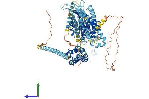 AlphaFold protein structure predicition of Mouse Recombinant Pkd2l1 Protein, UniprotID A2A259