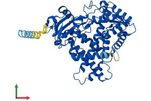 AlphaFold protein structure predicition of Human Recombinant CYP2B6 Protein, UniprotID P20813