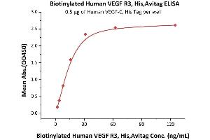 Immobilized Human VEGF-C, His Tag (ABIN2444233,ABIN2181912) at 5 μg/mL (100 μL/well) can bind Biotinylated Human VEGF R3, His,Avitag (ABIN5674609,ABIN6253662) with a linear range of 2-31 ng/mL (QC tested).