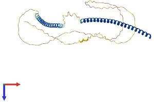 AlphaFold protein structure predicition of Mouse Recombinant Knstrn Protein, UniprotID Q9D9Z1