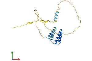 AlphaFold protein structure predicition of Human Recombinant CT45A8 Protein, UniprotID P0DMV1