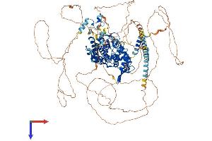 AlphaFold protein structure predicition of Mouse Recombinant Rc3h1 Protein, UniprotID Q4VGL6