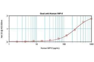 Image no. 3 for anti-Chemokine (C-C Motif) Ligand 15 (CCL15) antibody (ABIN464833)