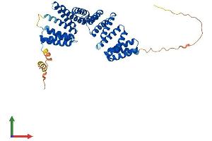 AlphaFold protein structure predicition of Human Recombinant TTC23 Protein, UniprotID Q5W5X9