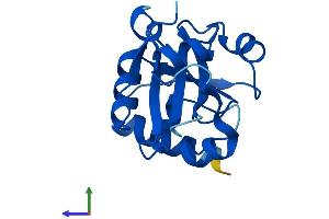AlphaFold protein structure predicition of Human Recombinant PRORSD1P Protein, UniprotID A6NEY8