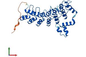 AlphaFold protein structure predicition of Mouse Recombinant Asb13 Protein, UniprotID Q8VBX0