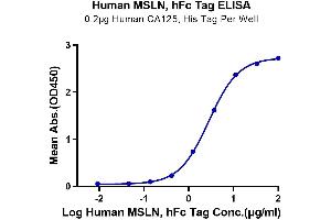 Immobilized Human CA125, His Tag at 2 μg/mL (100 μL/Well) on the plate.