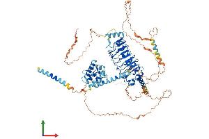 AlphaFold protein structure predicition of Human Recombinant LRCH1 Protein, UniprotID Q9Y2L9