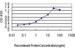 Detection limit for recombinant GST tagged FAIM3 is approximately 0. (FAIM3 anticorps  (AA 124-223))