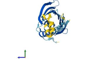 AlphaFold protein structure predicition of Human Recombinant PRELID2 Protein, UniprotID Q8N945