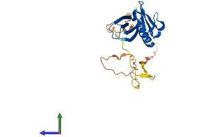 AlphaFold protein structure predicition of Mouse Recombinant Plekhb2 Protein, UniprotID Q9QZC7
