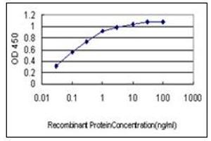 ELISA image for anti-Hypoxia Up Regulated 1 (HYOU1) antibody (ABIN781900)