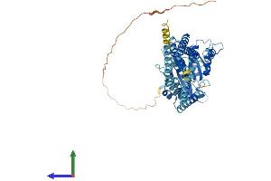 AlphaFold protein structure predicition of Mouse Recombinant Atl2 Protein, UniprotID Q6PA06