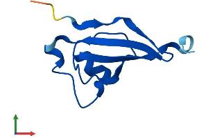 AlphaFold protein structure predicition of Mouse Recombinant Cks2 Protein, UniprotID P56390