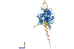 AlphaFold protein structure predicition of Mouse Recombinant Fbxo4 Protein, UniprotID Q8CHQ0