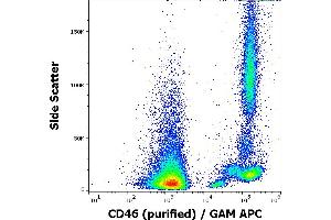Flow cytometry surface staining pattern of human peripheral blood cells stained using anti-human CD46 (MEM-258) purified antibody (concentration in sample 0,5 μg/mL) GAM APC. (CD46 anticorps)