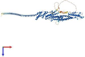 AlphaFold protein structure predicition of Human Recombinant EXOC7 Protein, UniprotID Q9UPT5