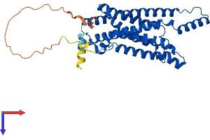 AlphaFold protein structure predicition of Human Recombinant STEAP1 Protein, UniprotID Q9UHE8