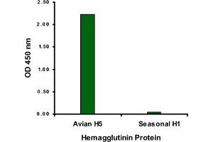ELISA analysis of Avian Influenza Hemagglutinin 2 protein with 1 ug/mL Avian Influenza Hemagglutinin 2 polyclonal antibody . (Hemagglutinin anticorps  (N-Term))