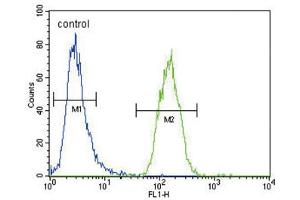 Flow Cytometry (FACS) image for anti-Xanthine Dehydrogenase (XDH) antibody (ABIN3004109)