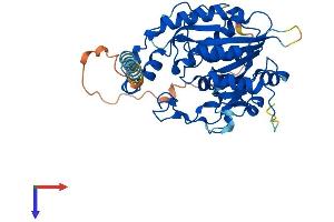 AlphaFold protein structure predicition of Mouse Recombinant B3gnt7 Protein, UniprotID Q8K0J2