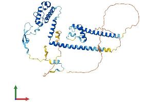 AlphaFold protein structure predicition of Mouse Recombinant Dmap1 Protein, UniprotID Q9JI44