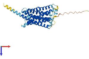 AlphaFold protein structure predicition of Human Recombinant MRGPRD Protein, UniprotID Q8TDS7