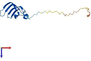 AlphaFold protein structure predicition of Human Recombinant SNRPD1 Protein, UniprotID P62314