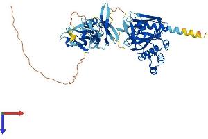 AlphaFold protein structure predicition of Mouse Recombinant Snx27 Protein, UniprotID Q3UHD6