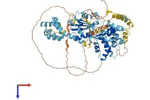 AlphaFold protein structure predicition of Mouse Recombinant Nlrp10 Protein, UniprotID Q8CCN1