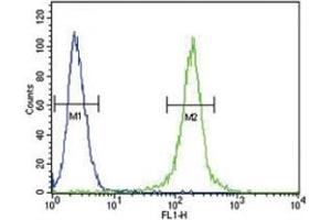 AMH antibody flow cytometric analysis of 293 cells (green) compared to a negative control (blue).