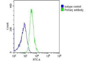 Overlay histogram showing U-2OS cells stained with (ABIN6242973 and ABIN6578633) (green line).