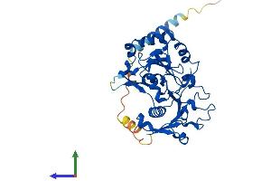 AlphaFold protein structure predicition of Human Recombinant FUT9 Protein, UniprotID Q9Y231