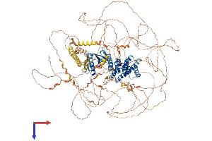 AlphaFold protein structure predicition of Human Recombinant PLEKHG2 Protein, UniprotID Q9H7P9