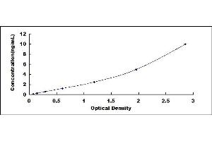 Typical standard curve (WNT11 Kit ELISA)