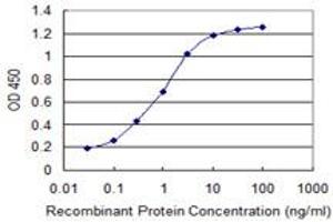 Detection limit for recombinant GST tagged ADRM1 is 0. (ADRM1 anticorps  (AA 18-407))