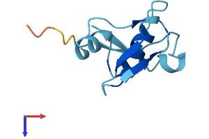 AlphaFold protein structure predicition of Human Recombinant MEIG1 Protein, UniprotID Q5JSS6