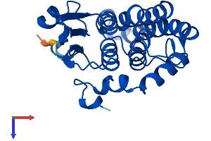 Glutathione Transferase zeta 1 (Maleylacetoacetate Isomerase) (GSTZ1) (AA 1-216) protein (His tag)